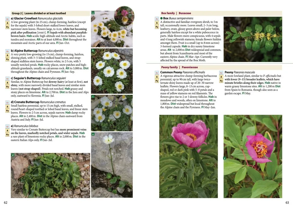 Europe's Alpine Flowers - A Field Guide