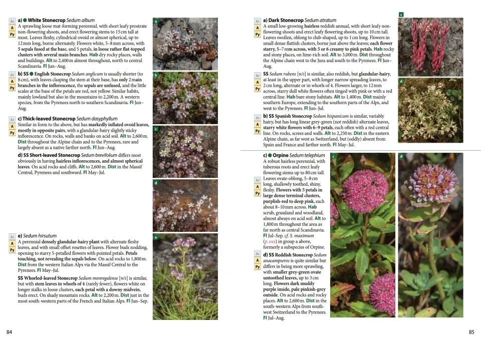 Europe's Alpine Flowers - A Field Guide