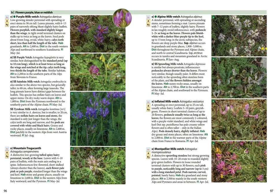 Europe's Alpine Flowers - A Field Guide