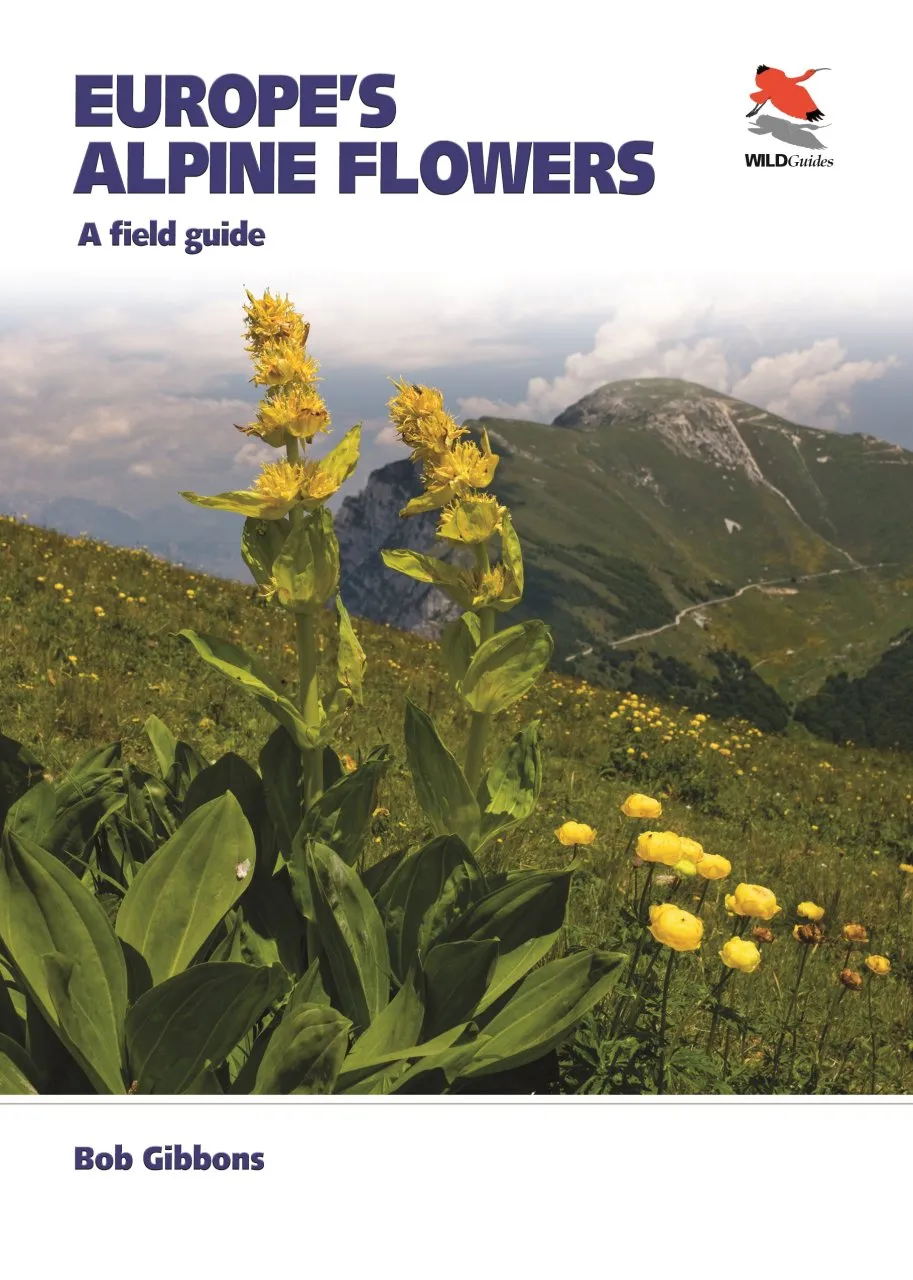 Europe's Alpine Flowers - A Field Guide