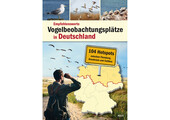 Empfehlenswerte Vogelbeobachtungsplätze in Deutschland - 104 Hotspots zwischen Flensburg, Osnabrück und Cottbus
