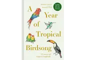 A Year of Tropical Birdsong