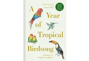 A Year of Tropical Birdsong