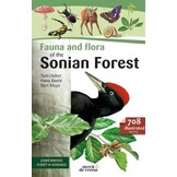 Fauna and Flora of the Sonian forest