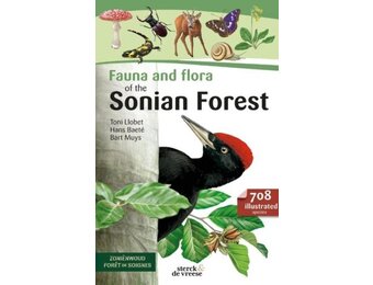 Fauna and Flora of the Sonian forest