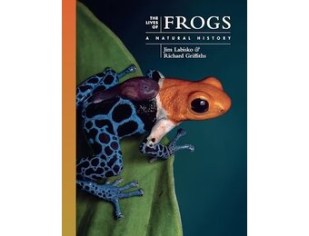 The Lives of Frogs