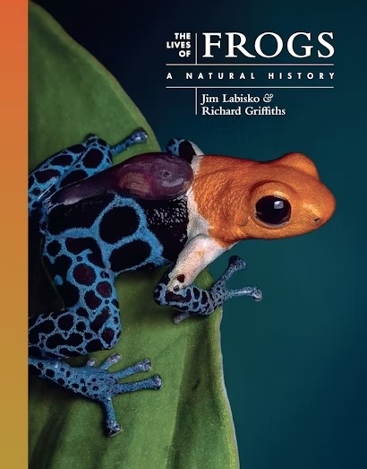 The Lives of Frogs: A Natural History