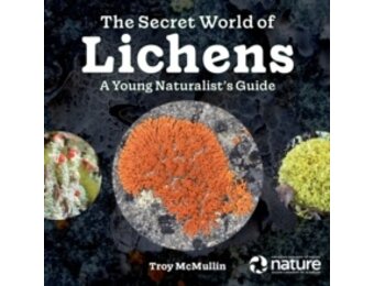 The Secret World of Lichens