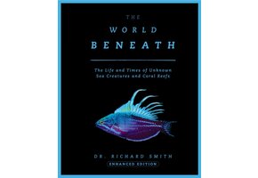 The World Beneath