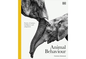 Animal Behaviour