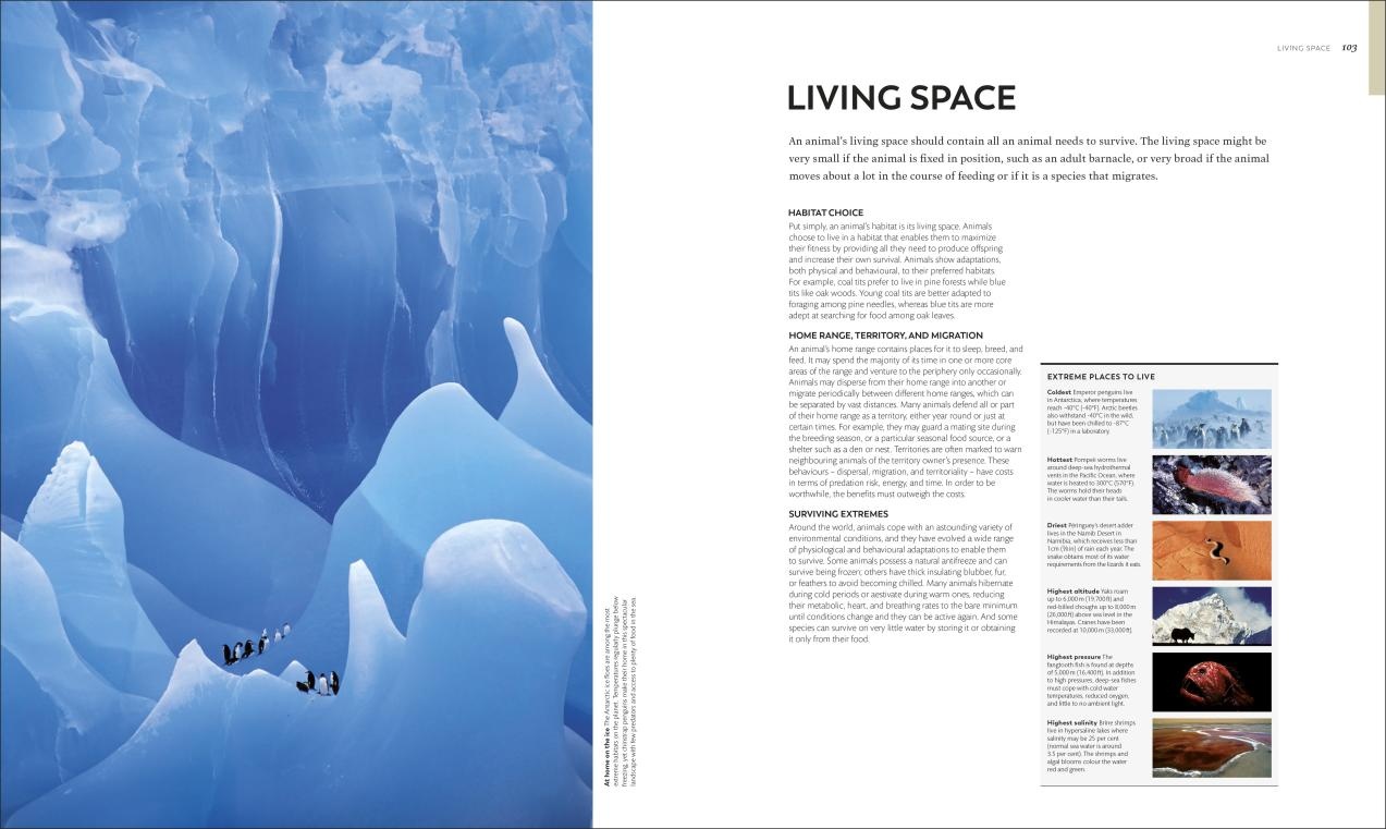 Animal Behaviour - Stories of instinct, intelligence and adaptation