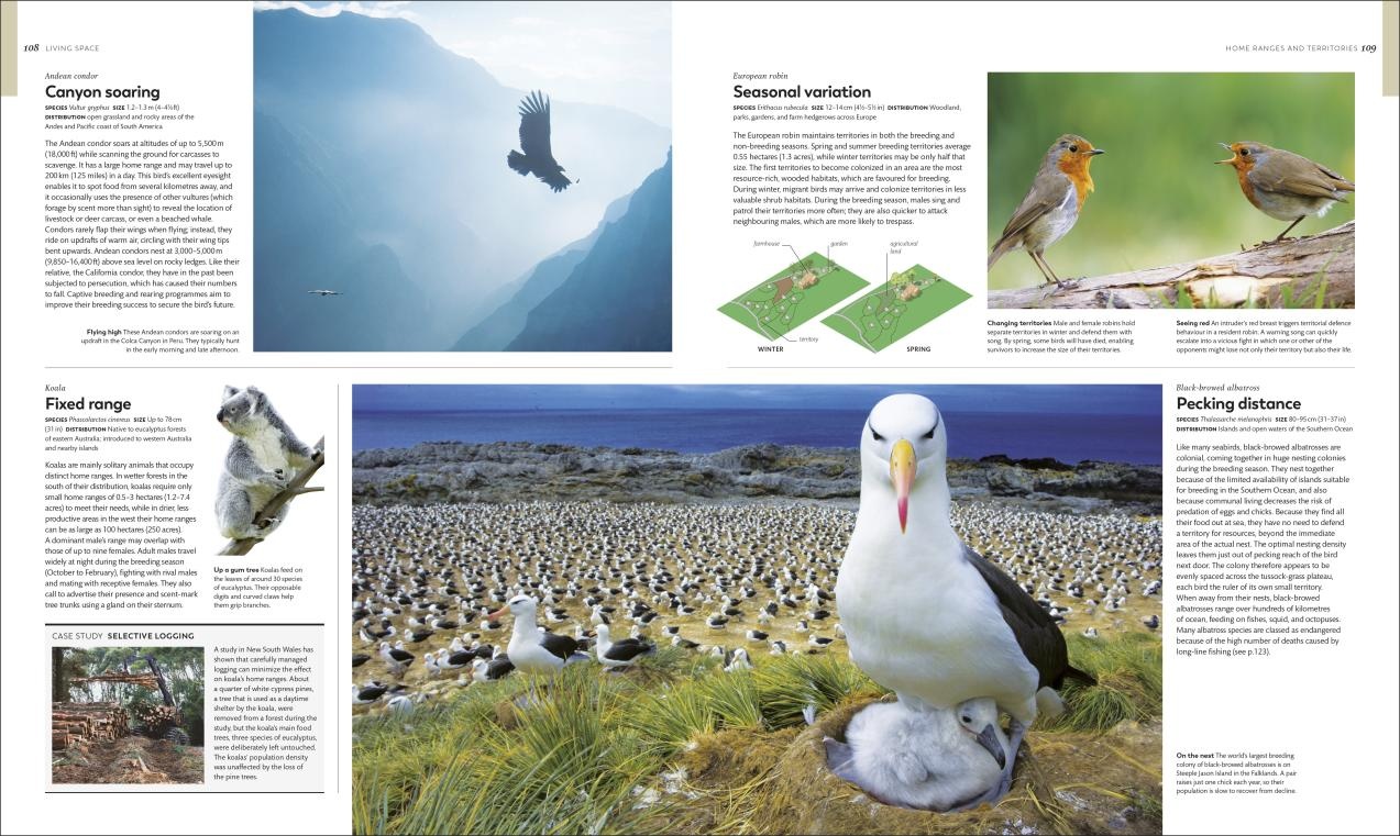 Animal Behaviour - Stories of instinct, intelligence and adaptation