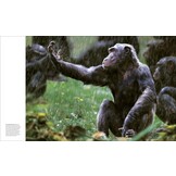 Animal Behaviour - Stories of instinct, intelligence and adaptation