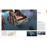 Animal Behaviour - Stories of instinct, intelligence and adaptation