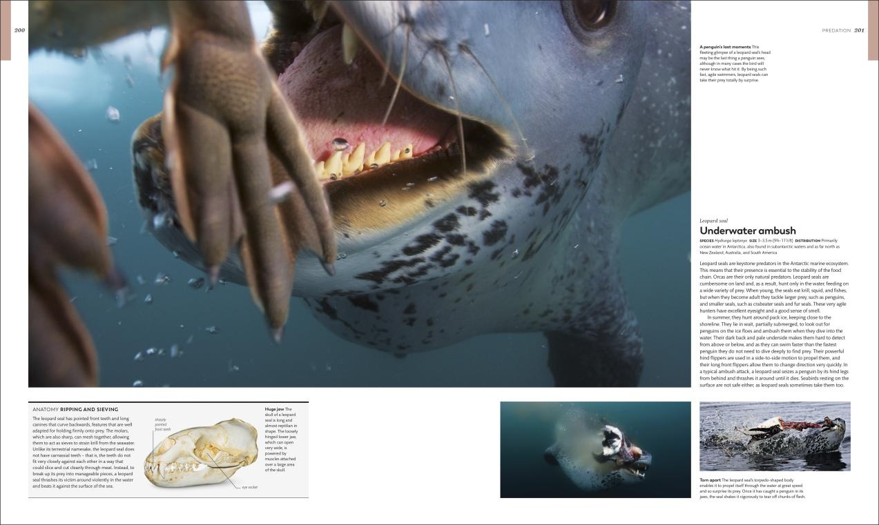 Animal Behaviour - Stories of instinct, intelligence and adaptation