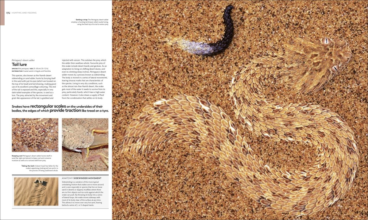 Animal Behaviour - Stories of instinct, intelligence and adaptation