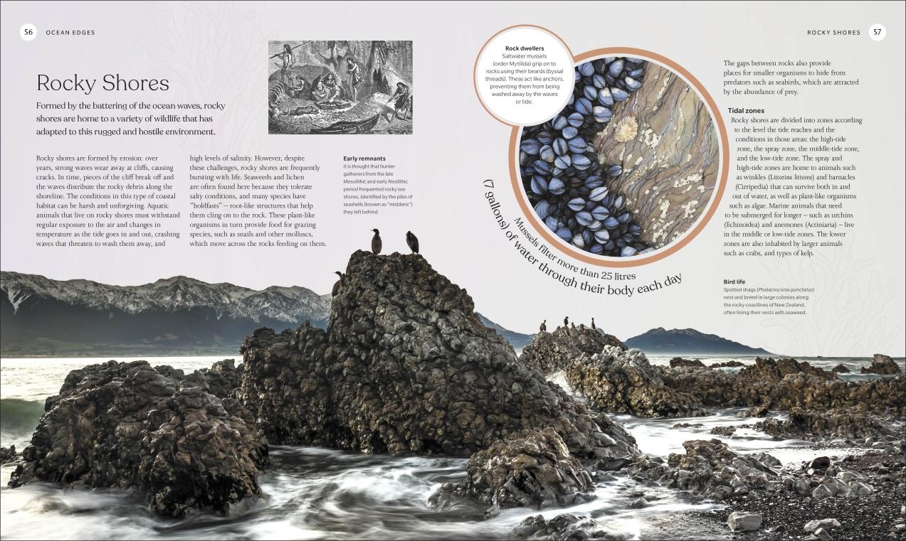 The Ocean Book - the Stories, Science, and the History of Oceans