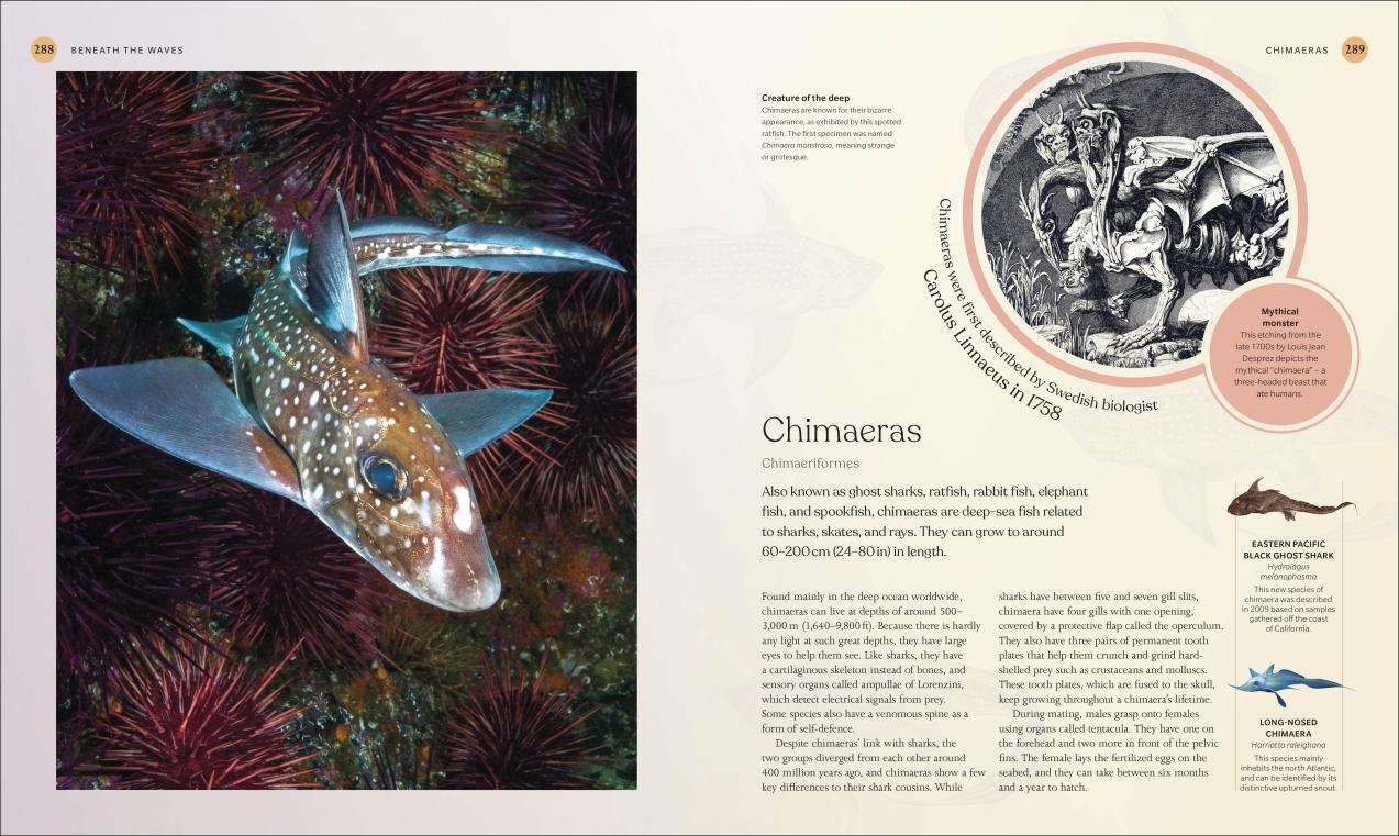 The Ocean Book - the Stories, Science, and the History of Oceans