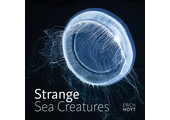 Strange Sea Creatures