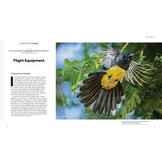 How Birds Fly - The Science and Art of Avian Flight