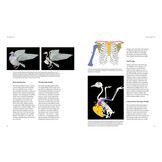 How Birds Fly - The Science and Art of Avian Flight