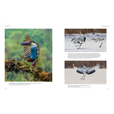 How Birds Fly - The Science and Art of Avian Flight