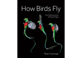 How Birds Fly
