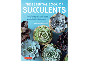 The Essential Book of Succulents