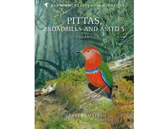 Pittas, Broadbills and Asities