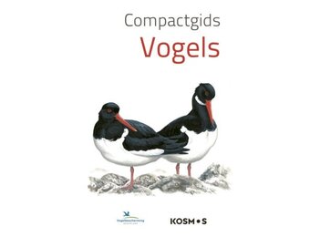 Compactgids Vogels