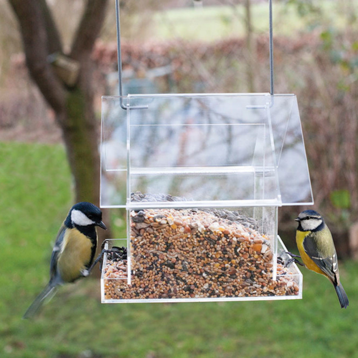 Acrylic hanging combi feeder house