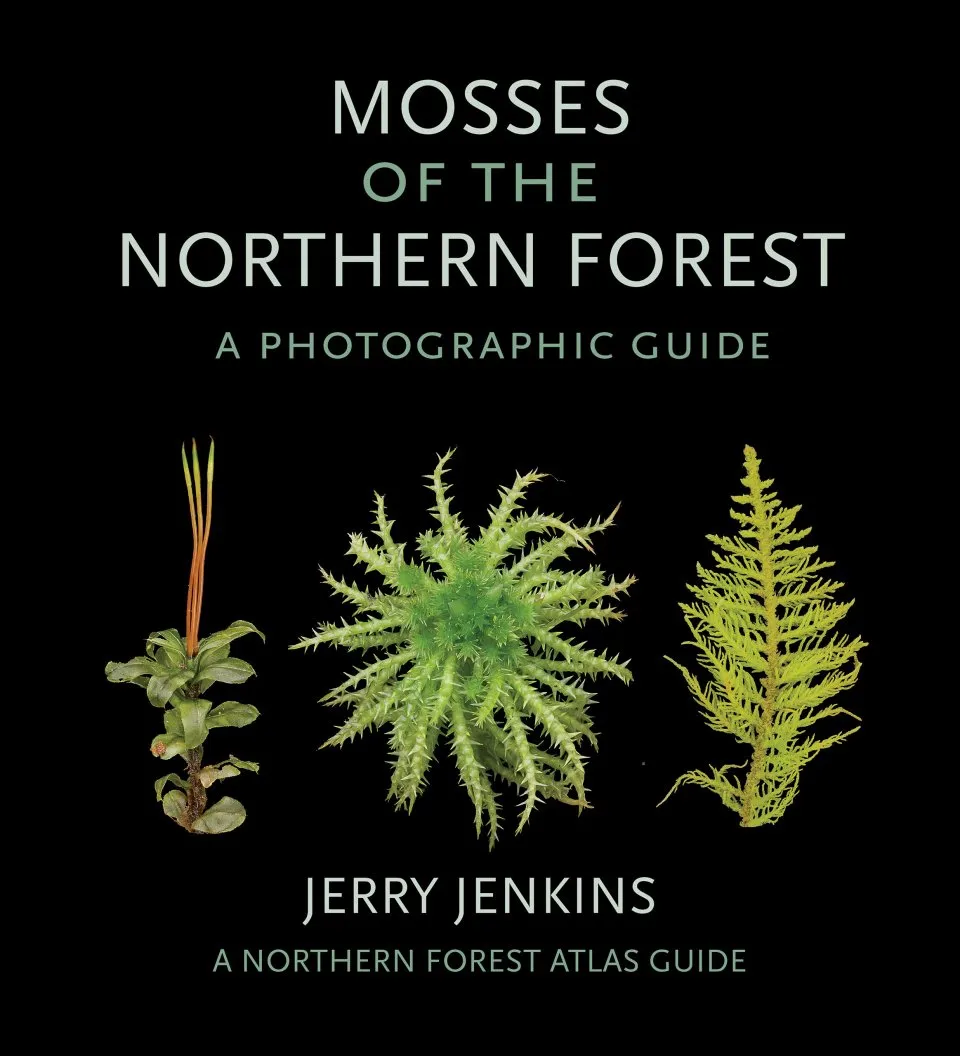 Mosses of the Northern Forest - A Photographic Guide