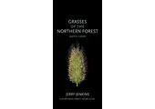 Grasses of the Northern Forest