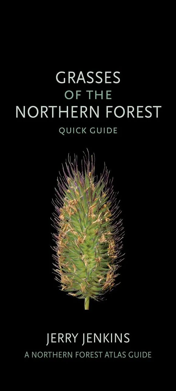 Grasses of the Northern Forest - Quick Guide