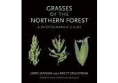 Grasses of the Northern Forest