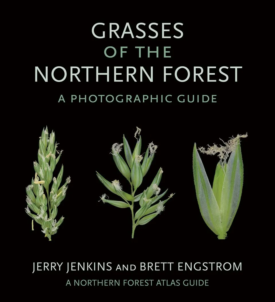 Grasses of the Northern Forest - A Photographic Guide