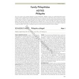 Pittas, Broadbills and Asities - Second Edition