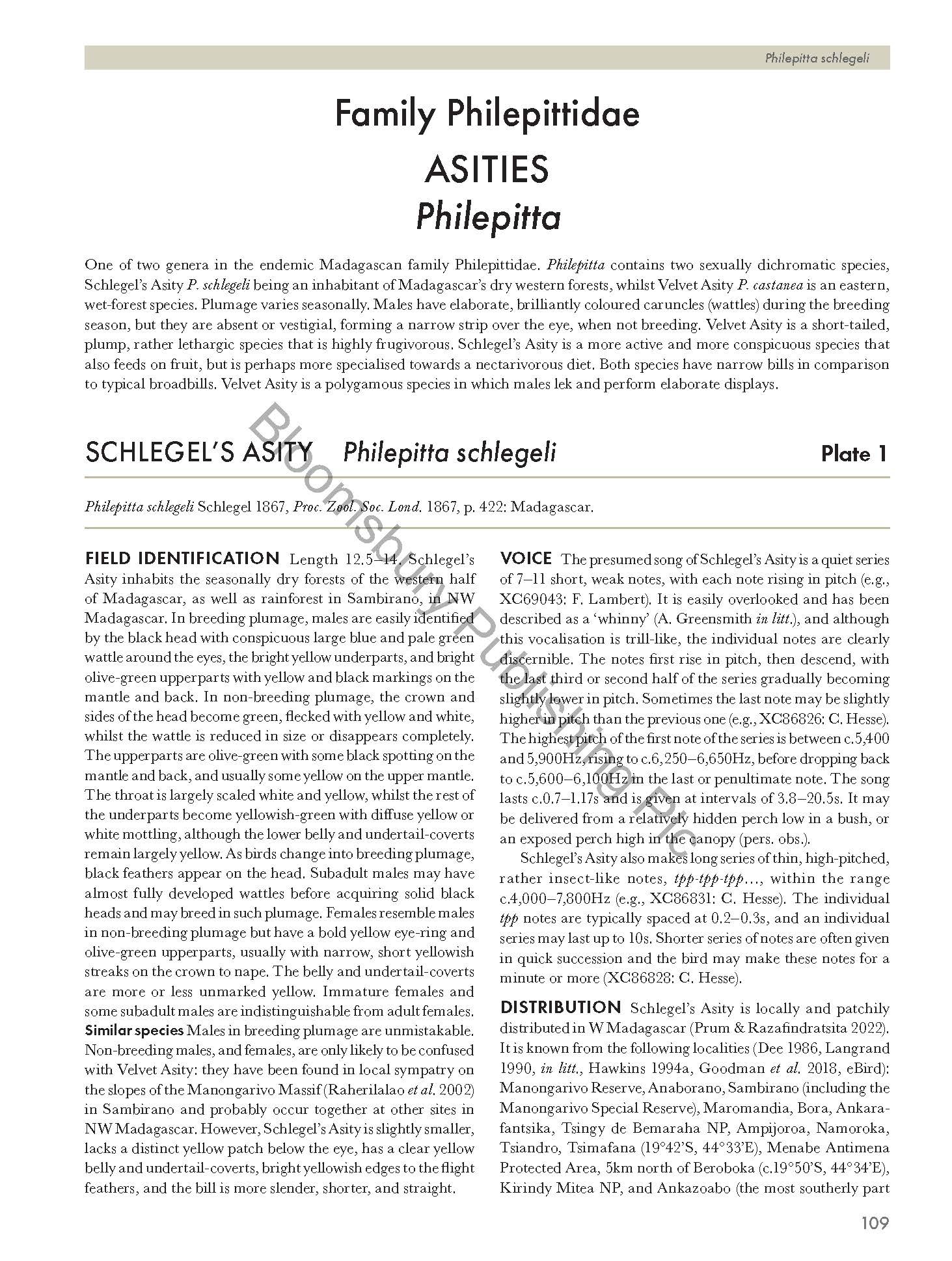 Pittas, Broadbills and Asities - Second Edition