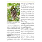 Pittas, Broadbills and Asities - Second Edition