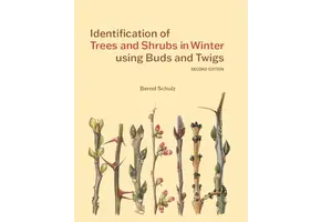 Identification of Trees and Shrubs in Winter Using Buds and Twigs