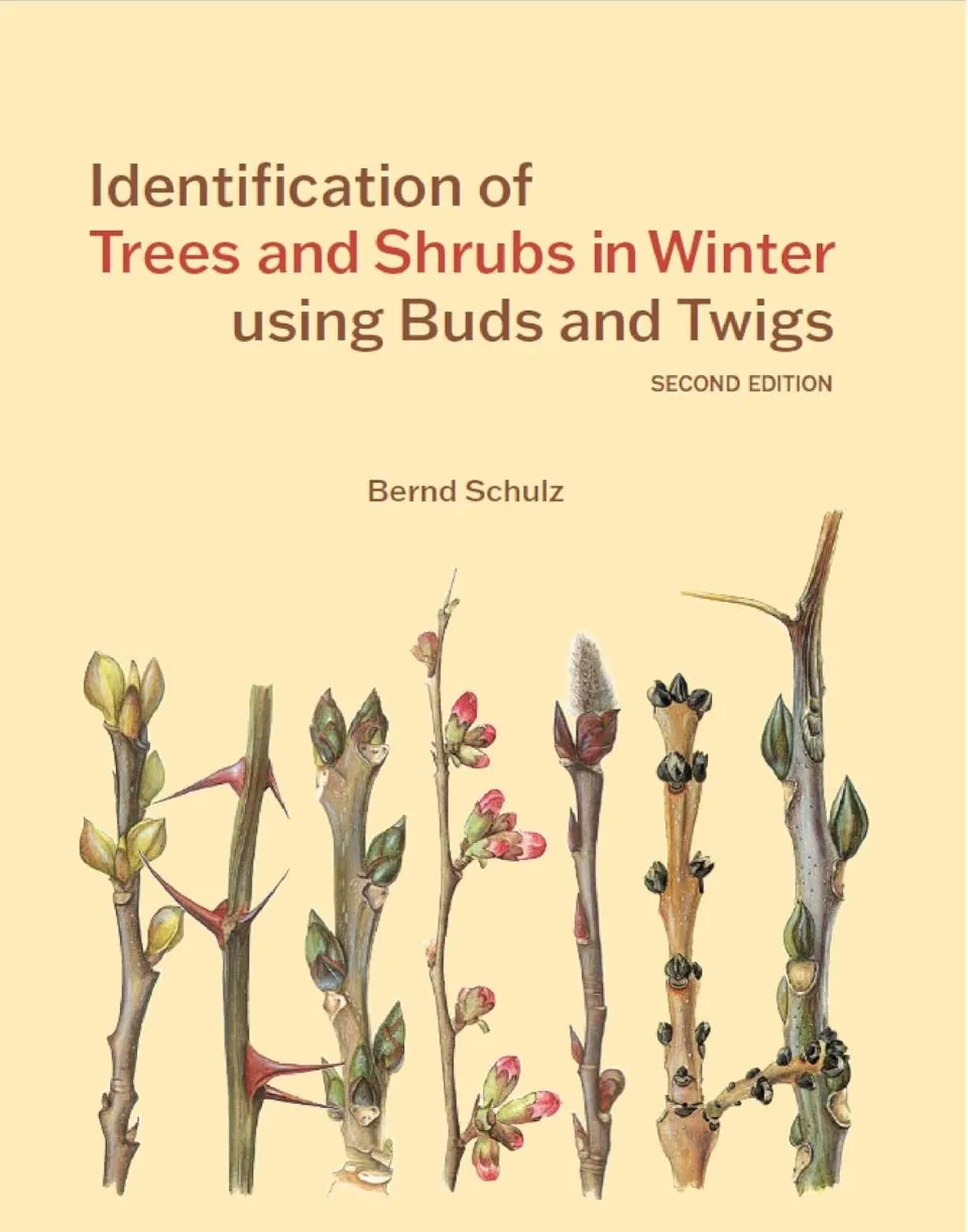 Identification of Trees and Shrubs in Winter Using Buds and Twigs
