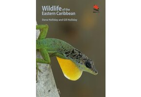 Wildlife of the Eastern Caribbean