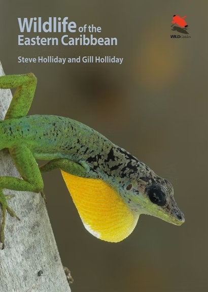 Wildlife of the Eastern Caribbean