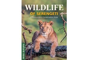 Wildlife of Serengeti