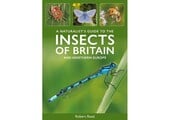 A Naturalist's Guide to the Insects of Britain and Northern Europe