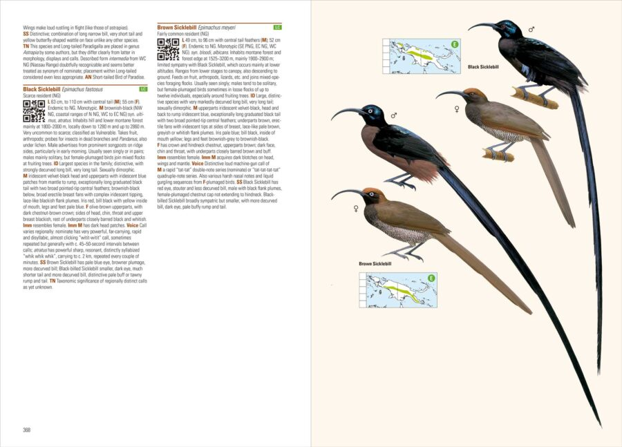 Birds of New Guinea