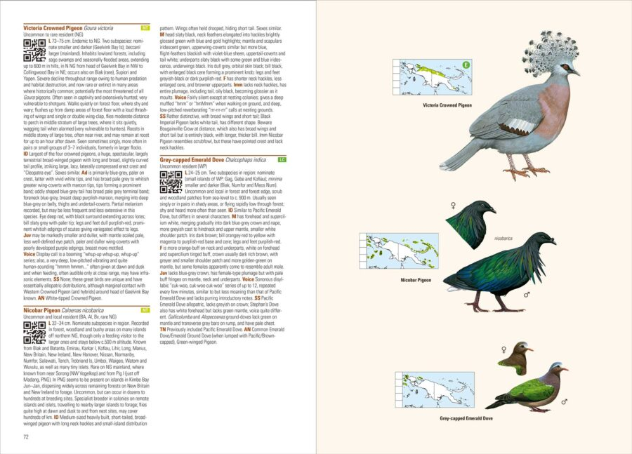Birds of New Guinea