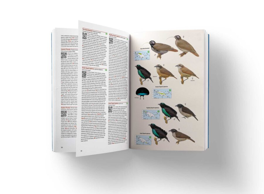 Birds of New Guinea