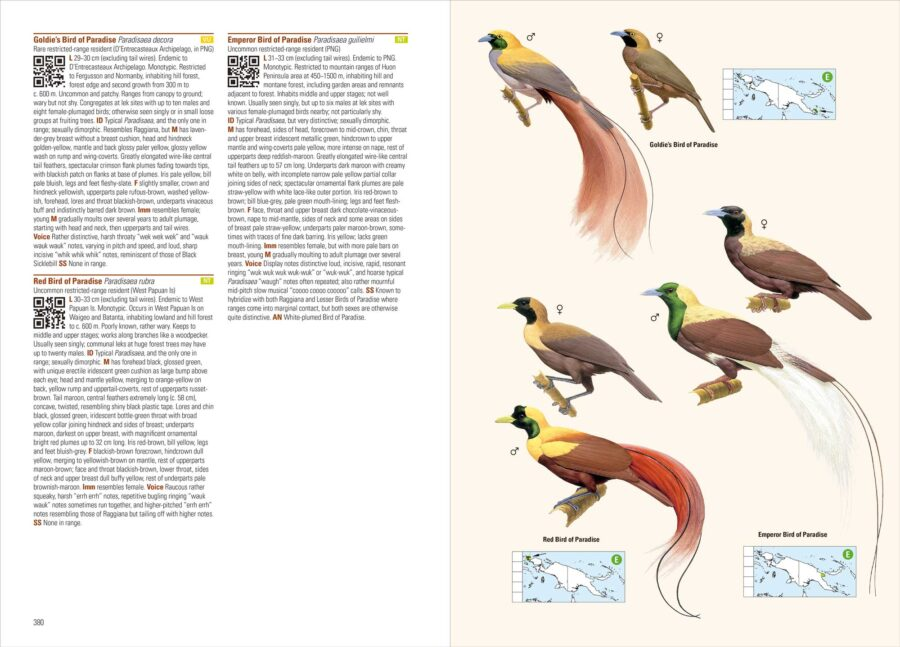 Birds of New Guinea