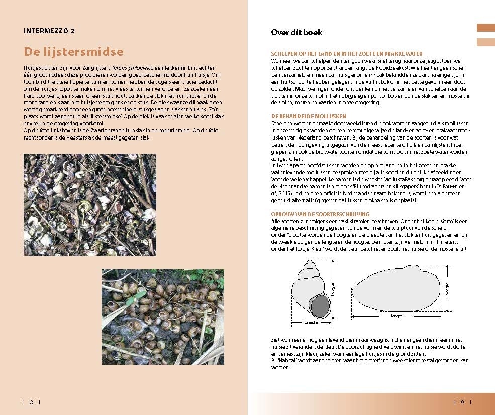 Veldgids Land- en zoetwatermollusken